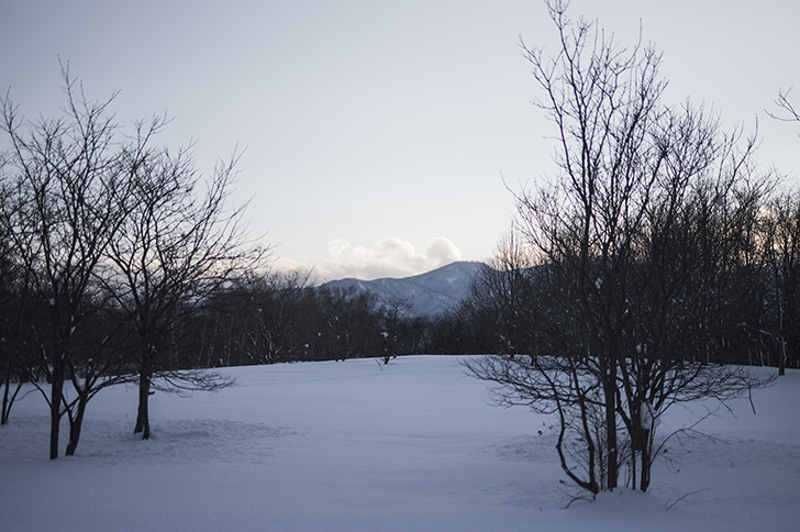 冬景色の写真